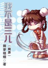 我不是三儿(网游)封面