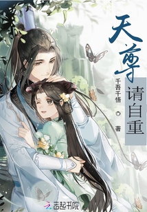 天尊请自重封面