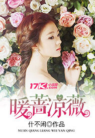 暖蔷凉薇封面