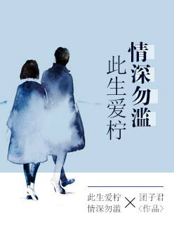 此生爱柠情深勿滥封面