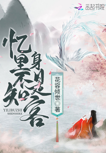 忆里不知身是客封面