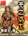 天之骄龙封面