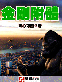金刚附体封面