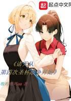 诸天从第四次圣杯战争开始封面