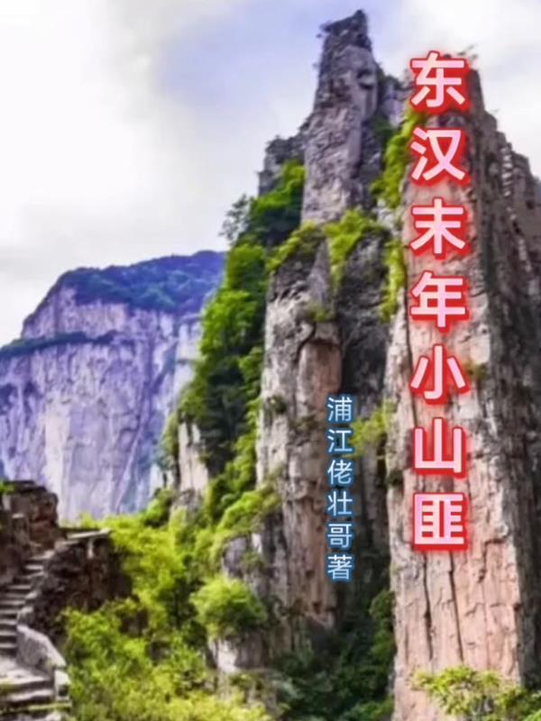 东汉末年小山匪封面