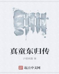 真童东归传封面