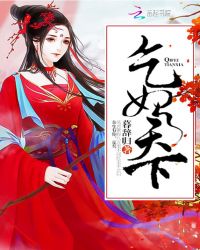 乞妃天下封面
