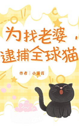 为找老婆,逮捕全球猫封面