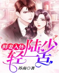 鲜妻入怀：陆少，轻一点封面