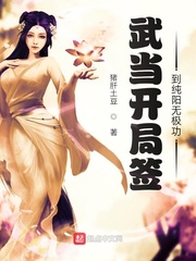 武当开局签到纯阳无极功封面