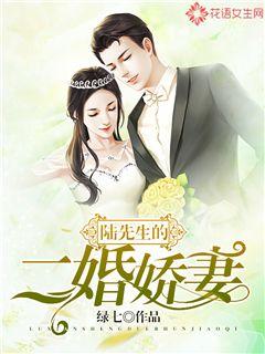 陆先生的二婚娇妻封面