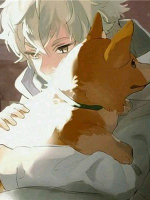 家养一只小霸王封面