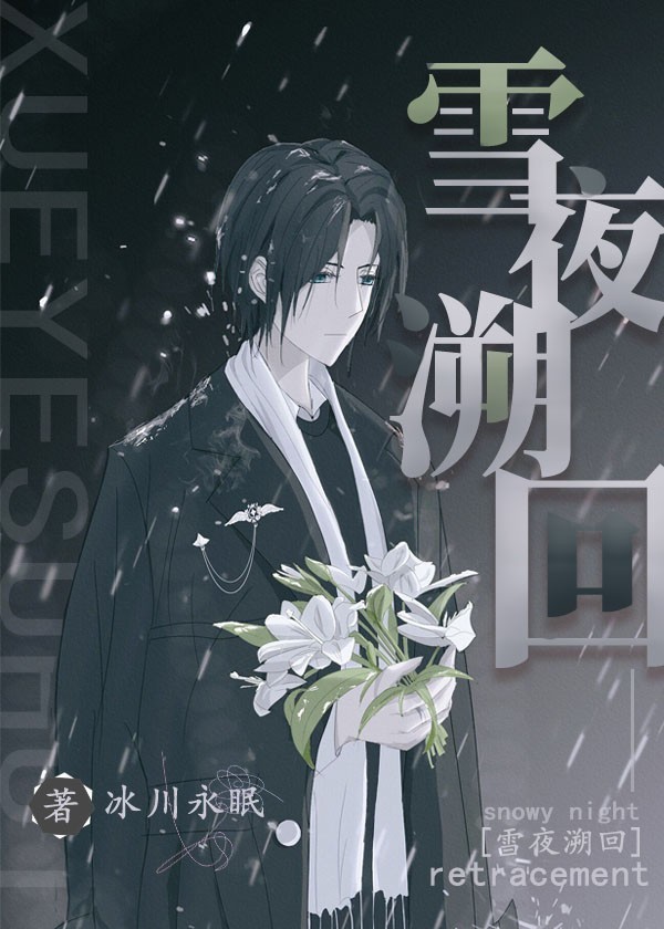 [原神]雪夜溯回封面