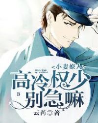 小妻撩人，高冷权少别急嘛封面