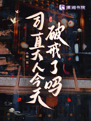 司直大人今天破戒了吗封面