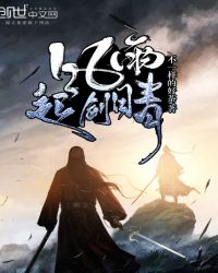 风雨起剑晴封面