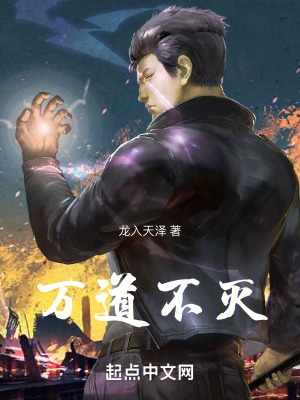 万道不灭封面