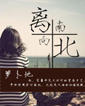 离北向南封面