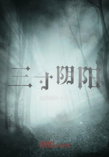 三寸阴阳封面