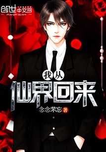 我从仙界回来封面