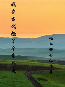 我在古代捡了个童养夫封面