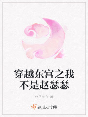 穿越东宫之我不是赵瑟瑟封面