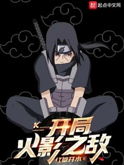 开局火影之敌封面