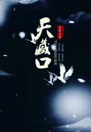 天藏口封面