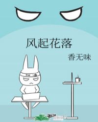 风起花落封面