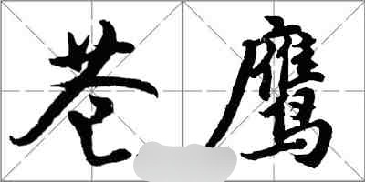 苍鹰1残余的光明封面