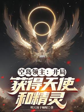 空岛领主：开局获得天使和精灵封面