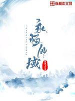 永恒仙域封面