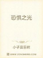 恐惧之光封面