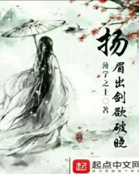 扬眉出剑欲破晓封面