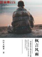 枫言风雨封面