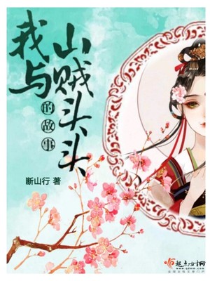 我与山贼头头的故事封面