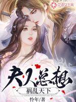 夫人总想祸乱天下封面