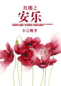 红楼之安乐封面