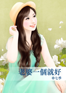 老婆一个就好封面