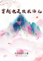 穿越也是技术活儿封面