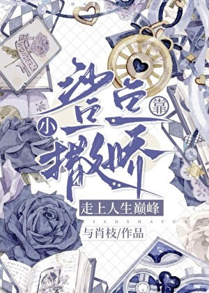 小鲨鱼靠撒娇走上人生巅峰封面