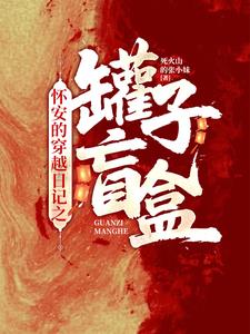 怀安的穿越日记之罐子盲盒封面