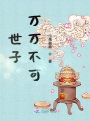 世子万万不可封面