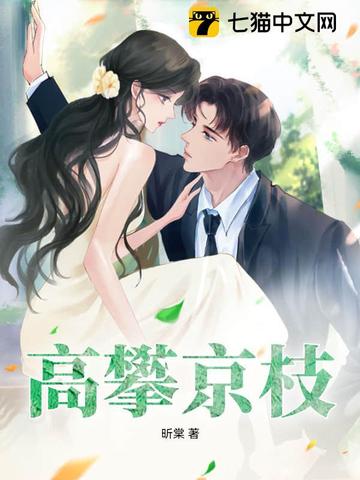 高攀京枝封面