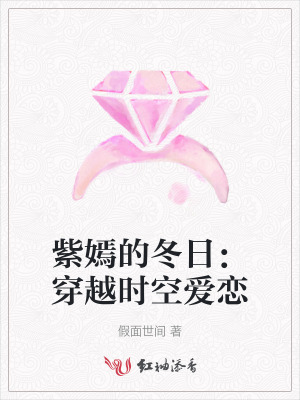 紫嫣的冬日：穿越时空爱恋封面