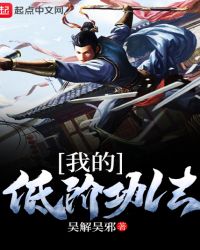 我的低阶功法封面