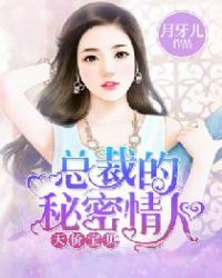 总裁的秘密情人封面
