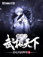 都市之武极天下封面