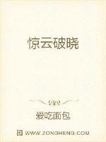惊云破晓封面