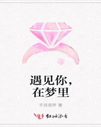 遇见你，在梦里封面